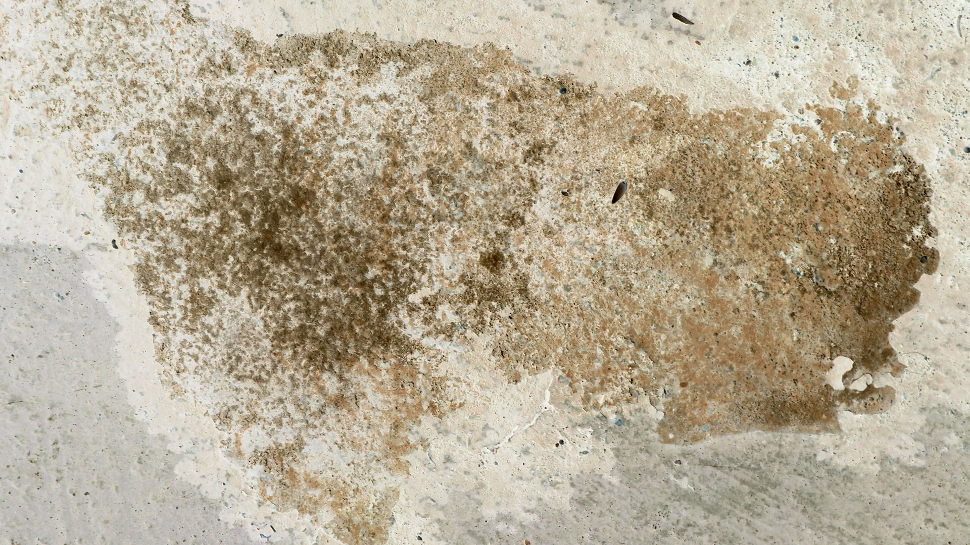 2021-01-30 Wasser in der Spüle II, On-Off (Remix John Cage 'Sonatas & Interludes') (Komposition, Remix, Recording, Foto)